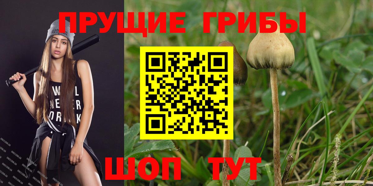 Псилоцибиновые грибы GOLDEN TEACHER  Вход с VPN  Сертолово 