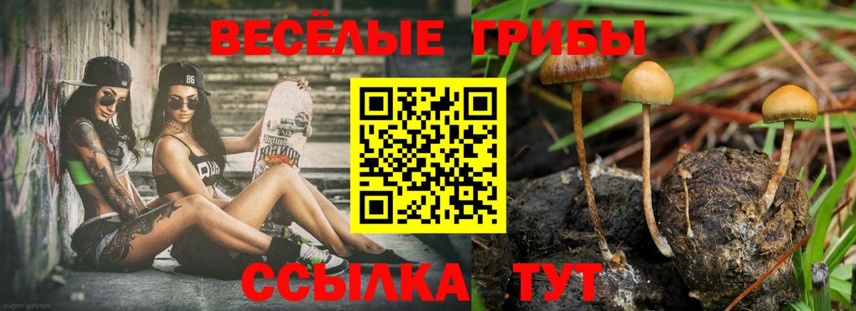 Псилоцибиновые грибы Magic Shrooms Сертолово